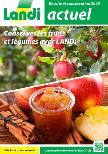 Volantino Landi.