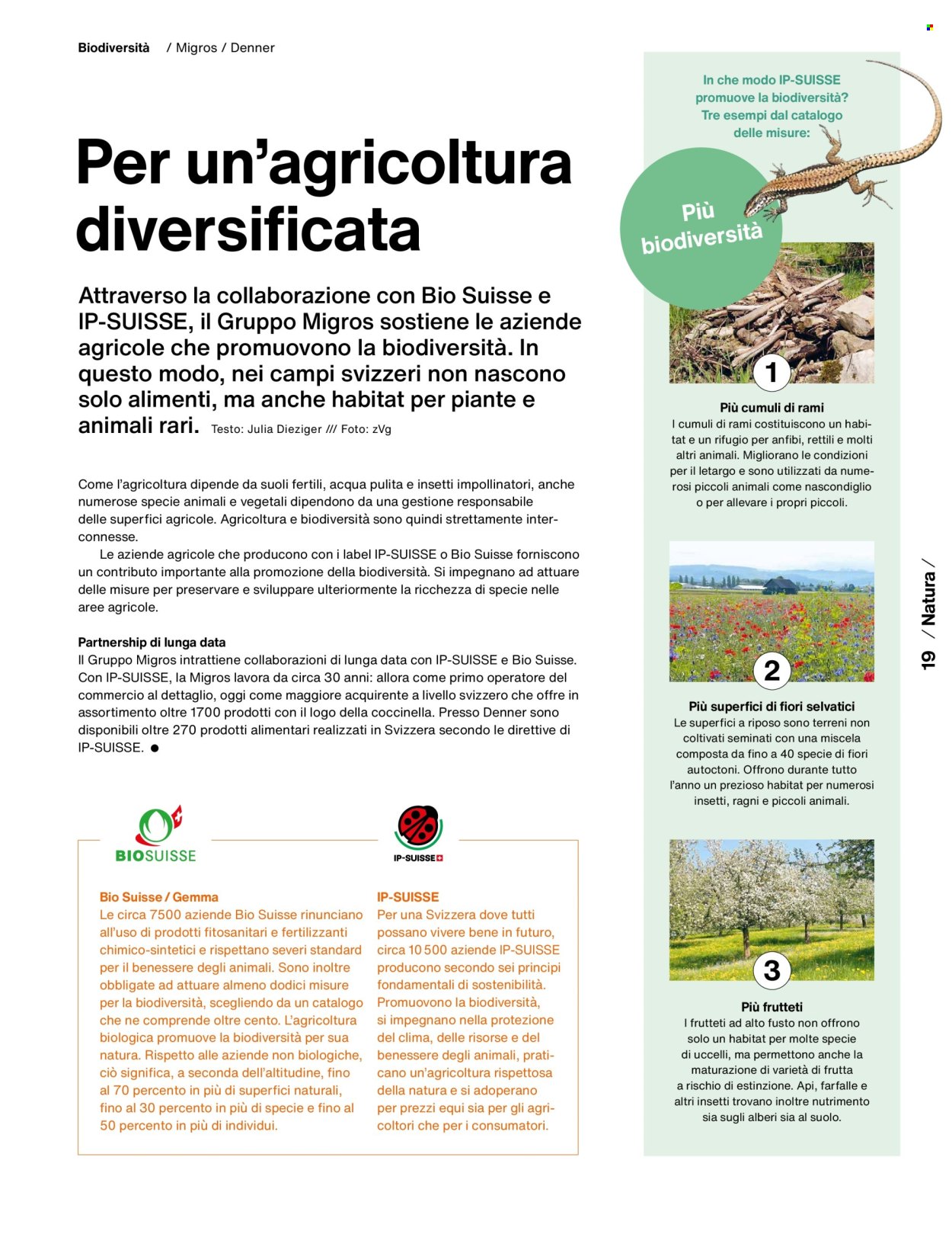 Volantino Migros. Pagina 21
