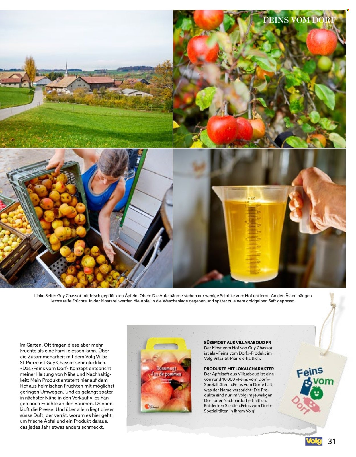 Volantino Volg - 1.10.2026 - 31.10.2026. Pagina 31
