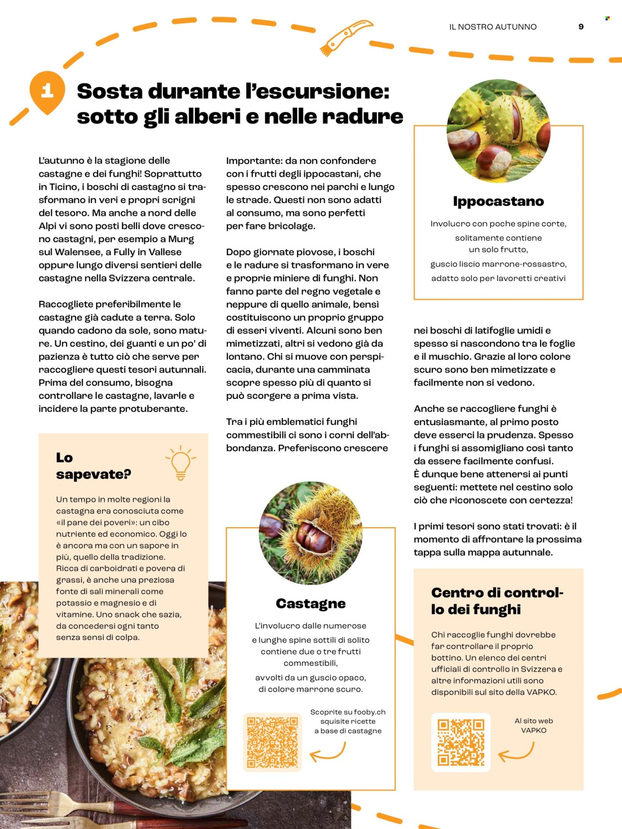 Volantino Coop. Pagina 9