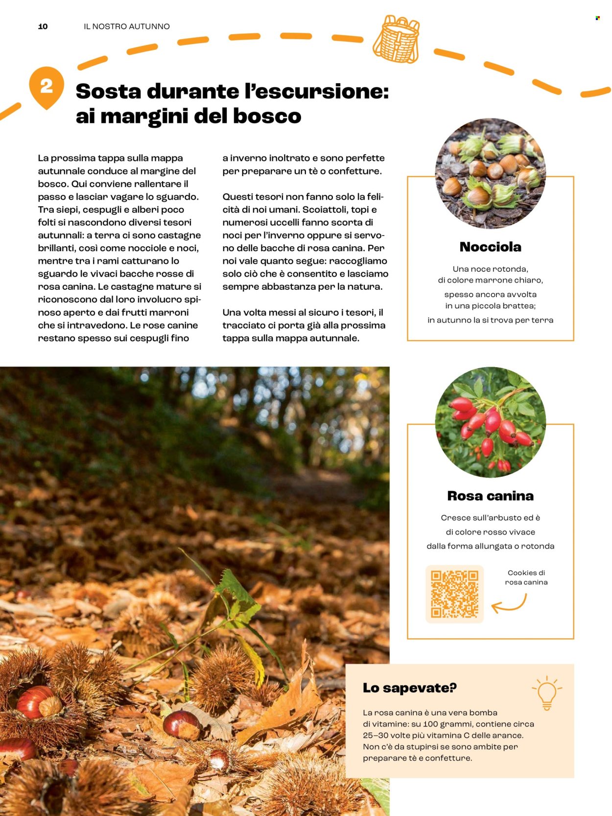 Volantino Coop. Pagina 10
