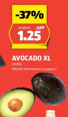 AVOCADO XL
