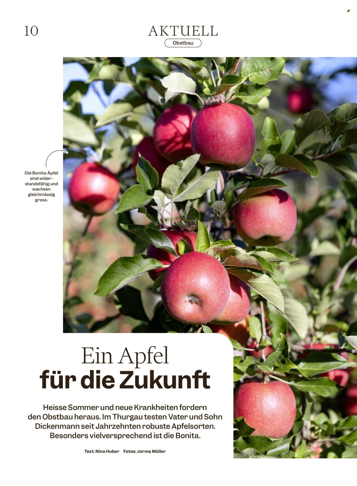 Volantino Migros - 21.10.2026 - 28.10.2026. Pagina 10