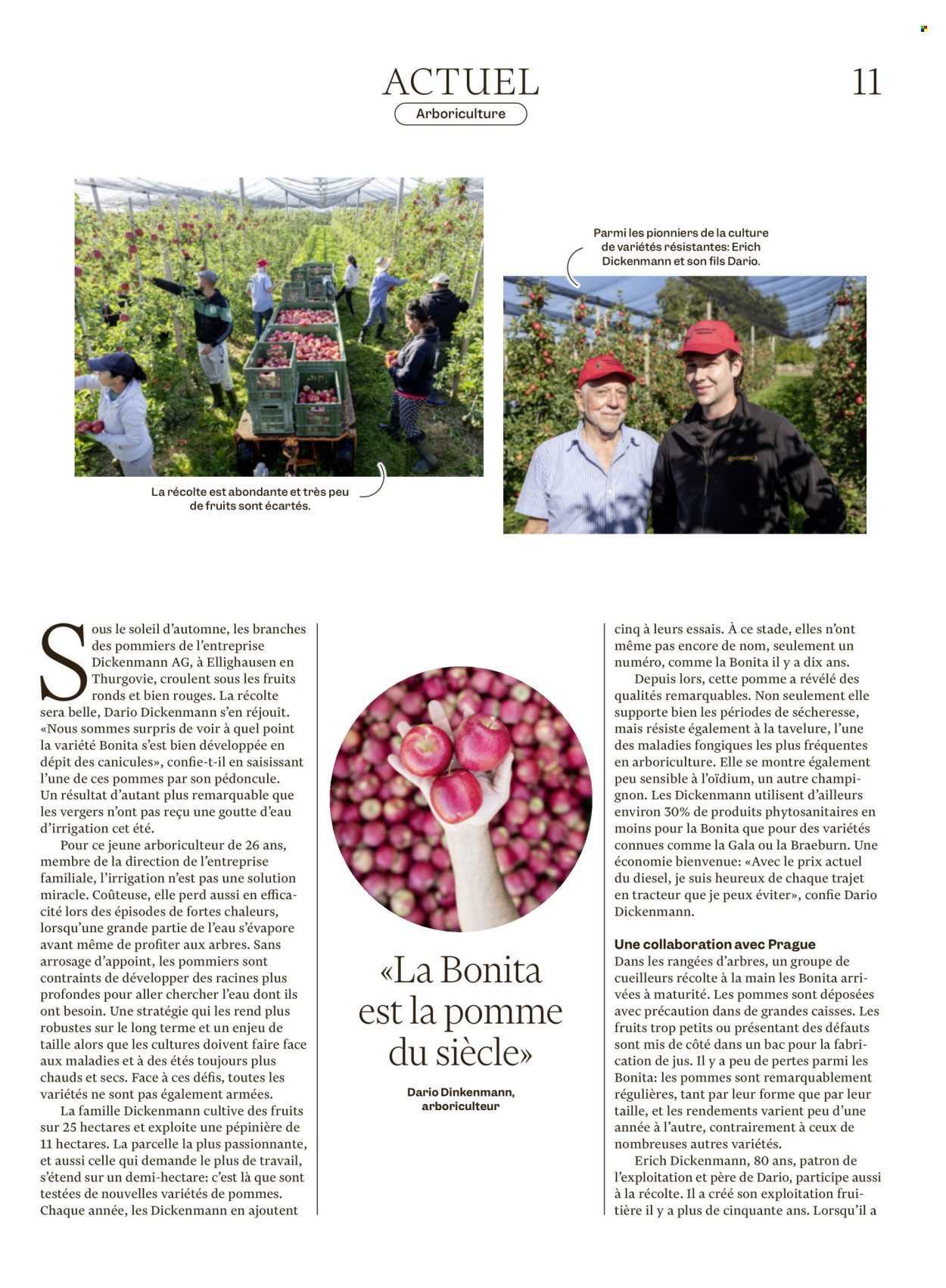 Volantino Migros - 21.10.2026 - 28.10.2026. Pagina 11