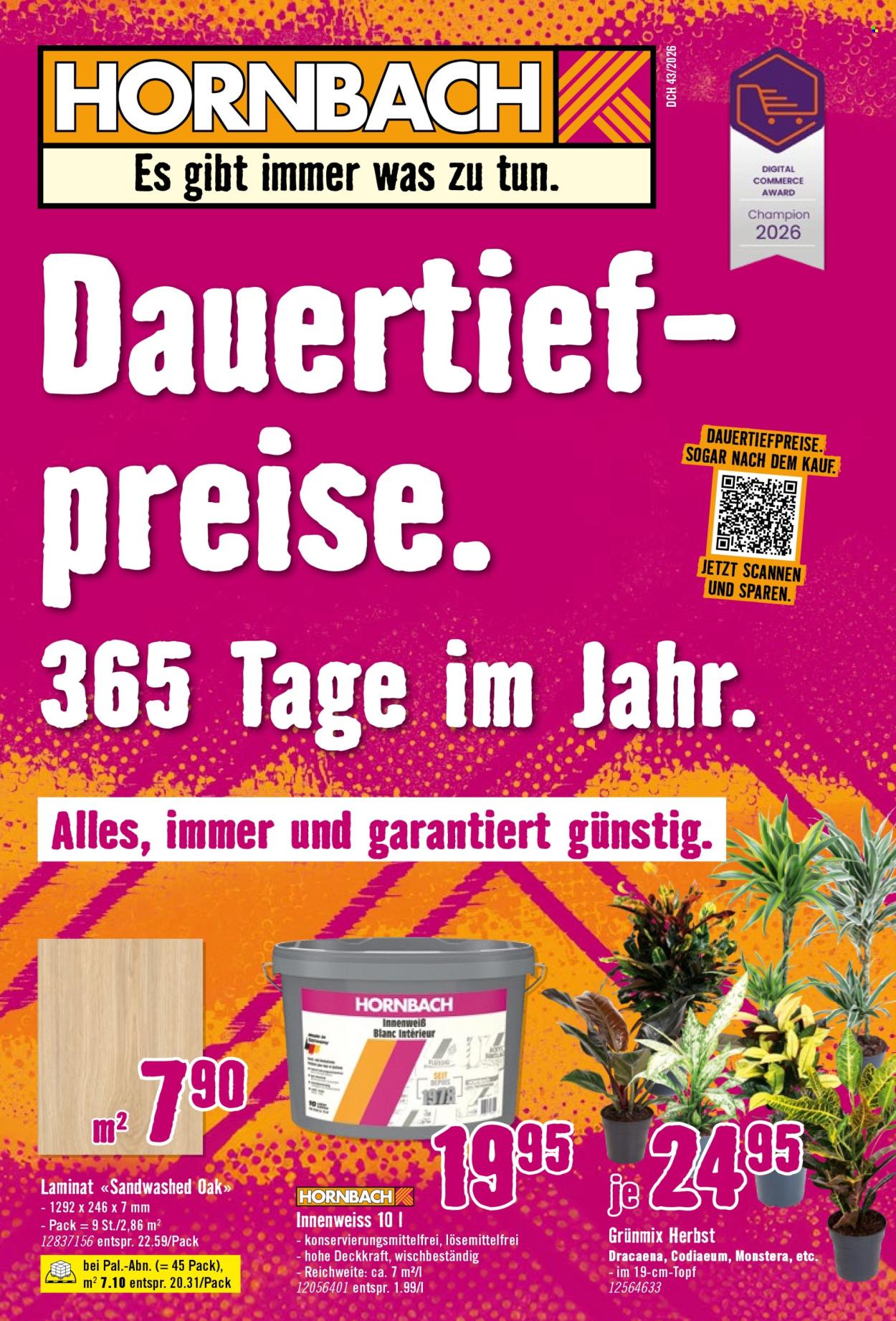 Volantino Hornbach. Pagina 1