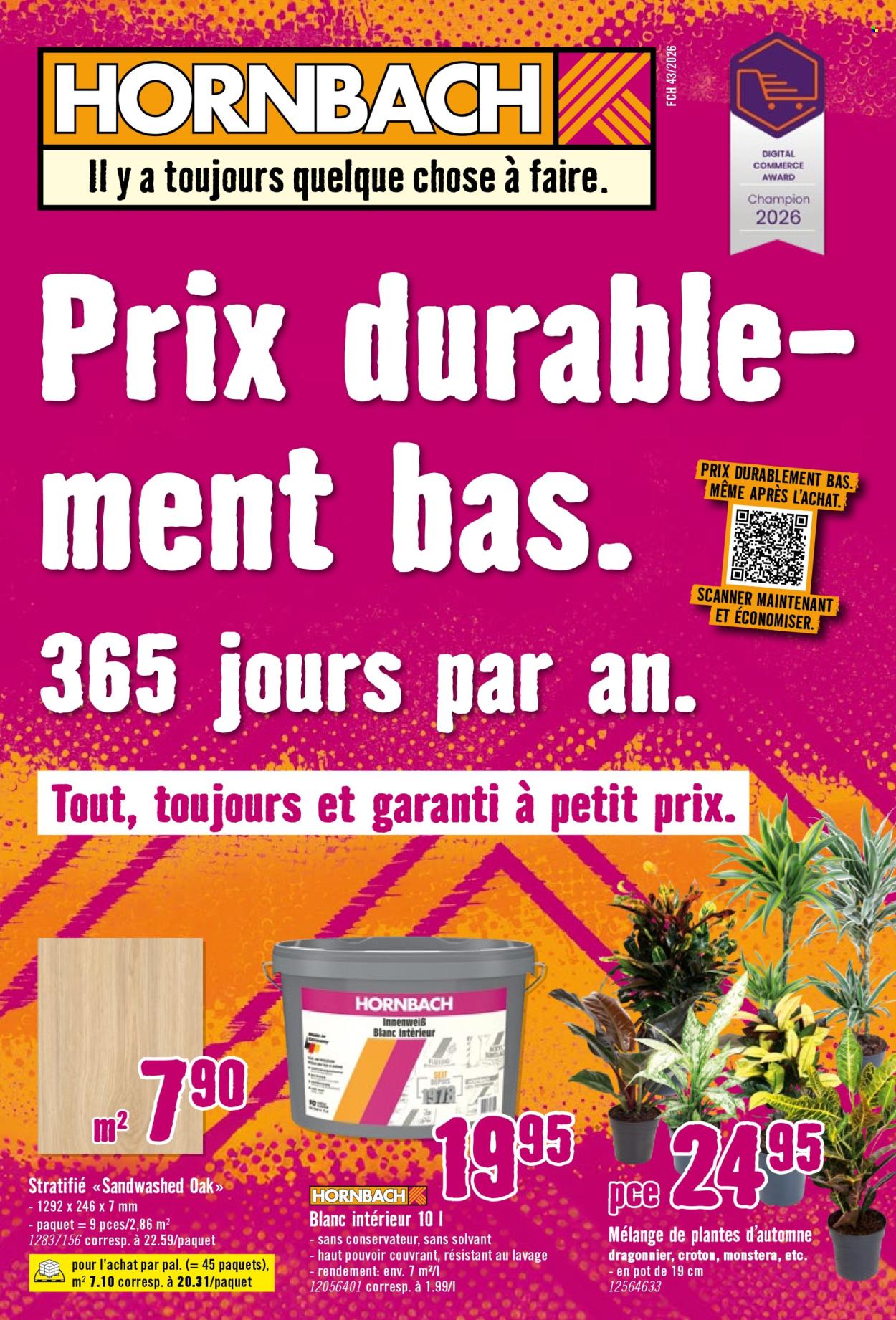 Volantino Hornbach. Pagina 1